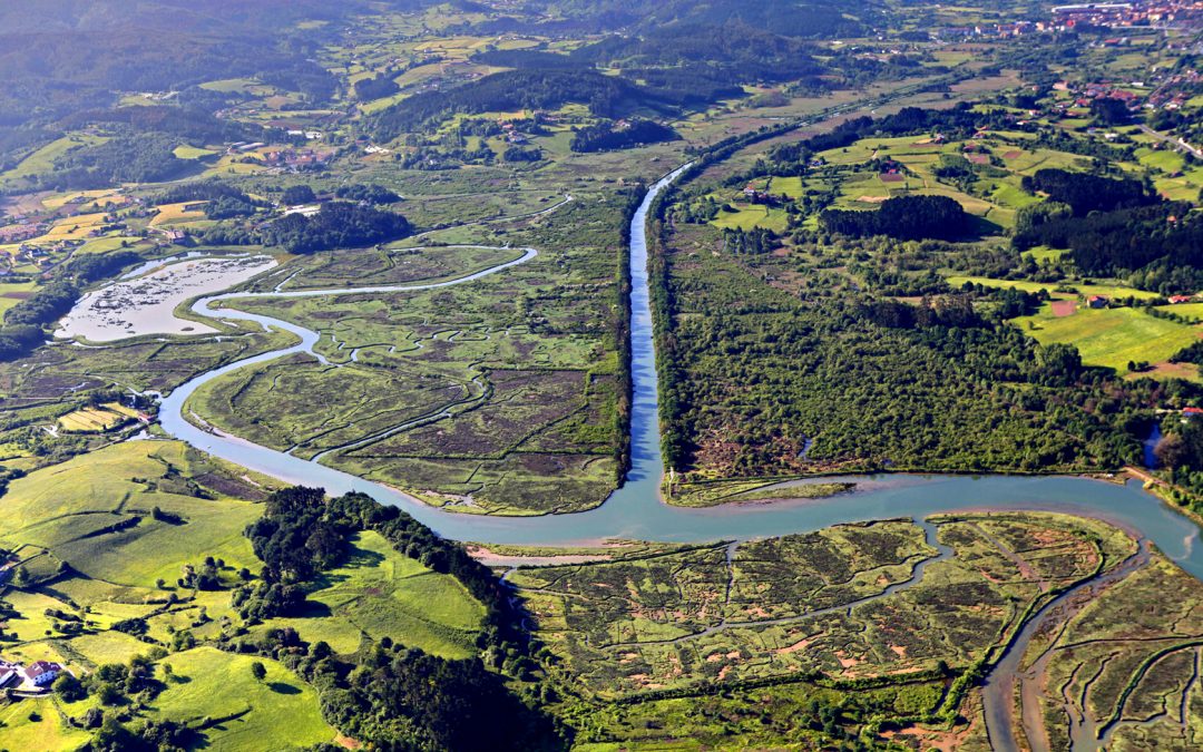 Full restoration of the river Oka (Basque Country Autonomous Region)