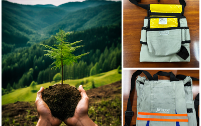 Compromiso Medioambiental en Boslan: Reforestación y Economía Circular